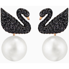 施华洛世奇首饰黑天鹅耳环