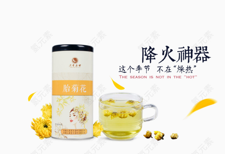 胎菊花养生茶