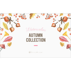 果实和花卉欢迎素材