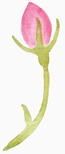 水彩墨迹花朵图案