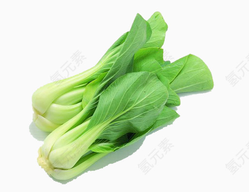 俩个菠菜