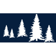 雪景白色松树装饰素材