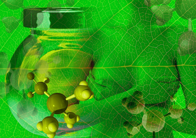 人体基因链科学未来