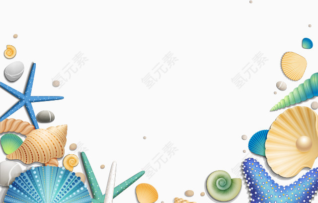 海边贝壳装饰