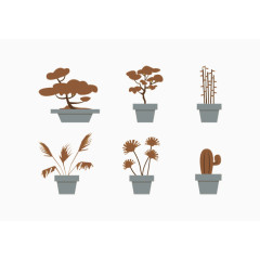 森林仙人掌枝条蒲公英