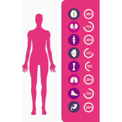 矢量男性数据图