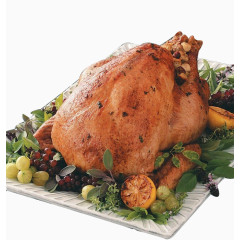 感恩节的美味火鸡