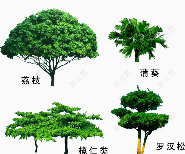 园林绿植树木素材