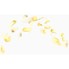 弧形排布金黄色树叶元素