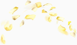 弧形排布金黄色树叶元素