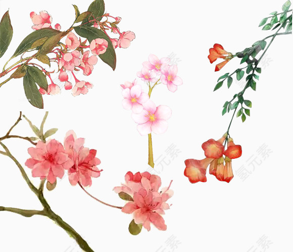 红色的花朵