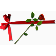 蝴蝶结和玫瑰花