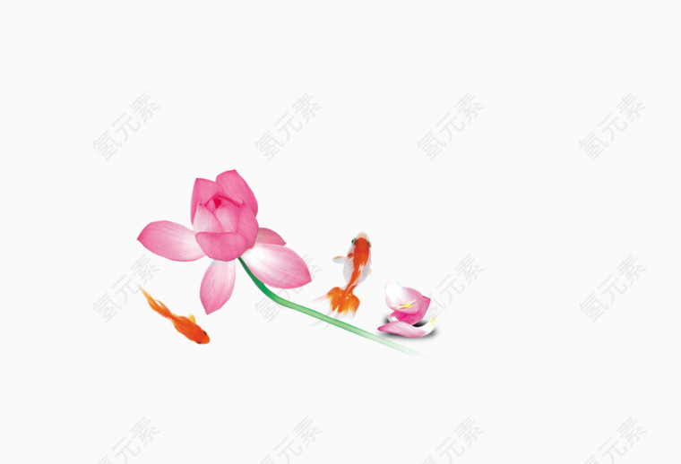企业文化海报荷花