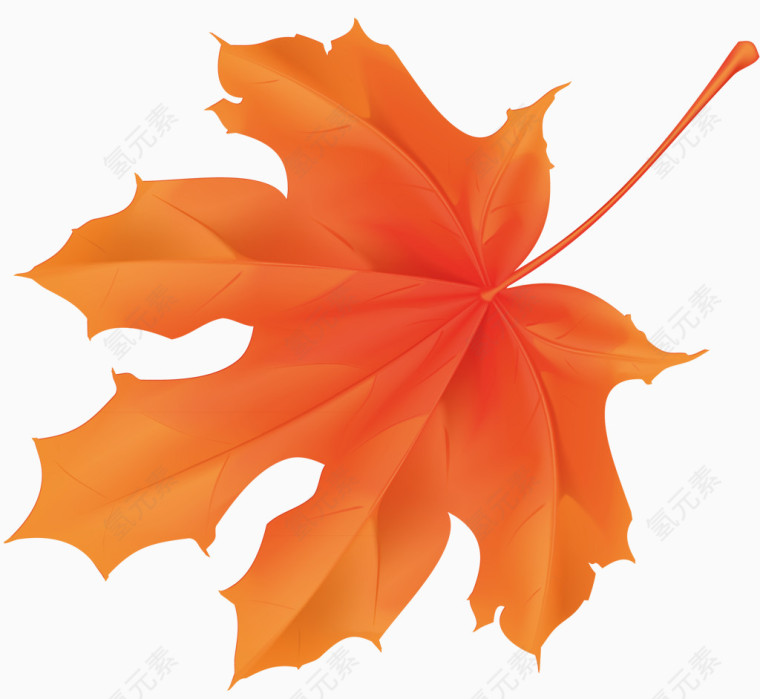 火红的枫叶手绘元素