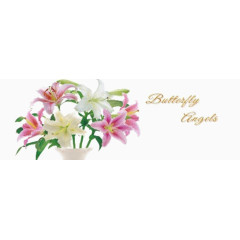 卓尔不凡的陶瓷画片素材