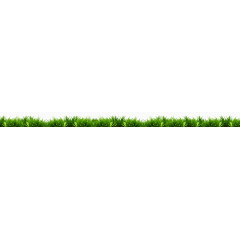 草地