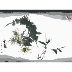水墨菊花