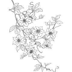 日本花草矢量素材