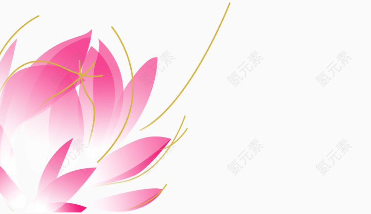 荷花专辑