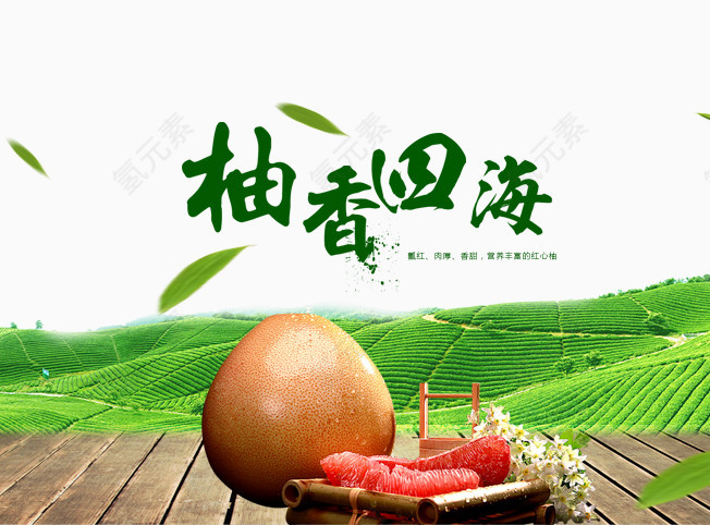 柚香四海
