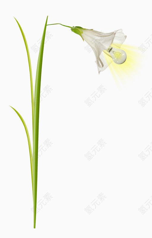 好看的小花灯