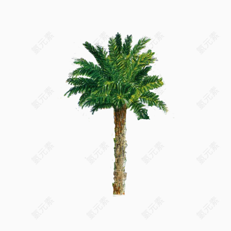 植树款式