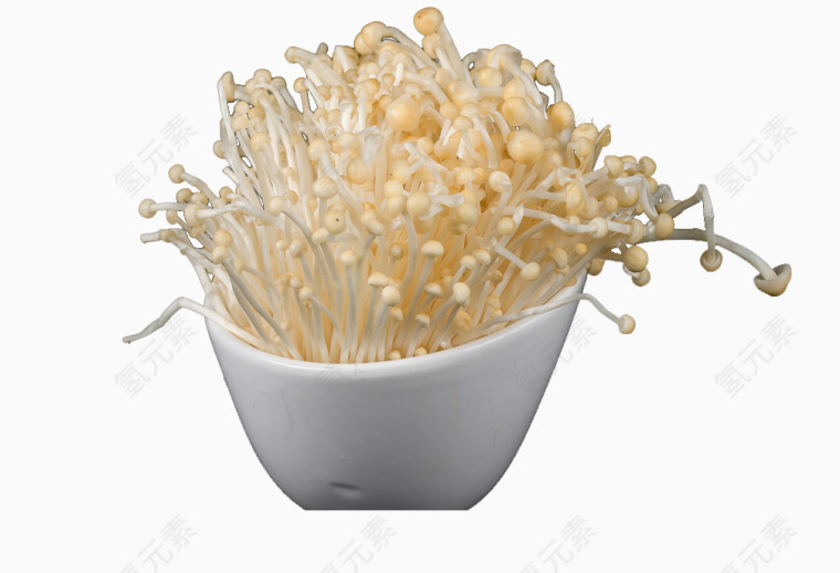 白色金针菇