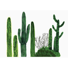 绿色仙人柱素材背景