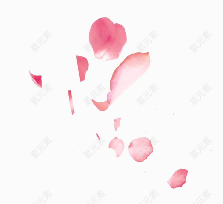 唯美粉色花瓣