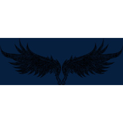 素描翅膀羽毛矢量图