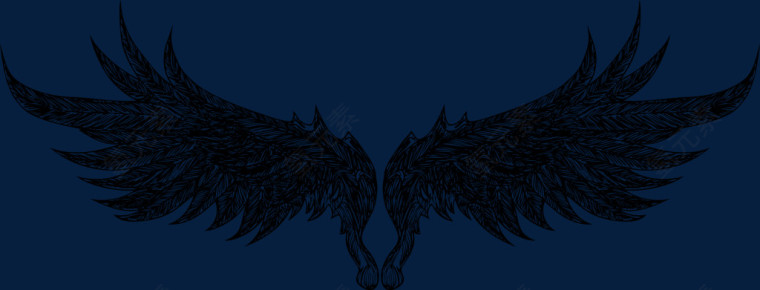 素描翅膀羽毛矢量图
