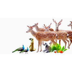 可爱清新动物装饰图案