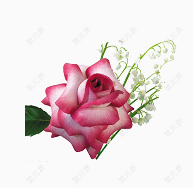 鲜花