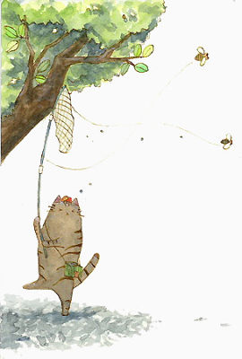 抓蝴蝶的小猫