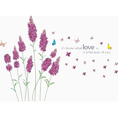 免扣素材之薰衣草