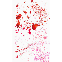 漂亮飘落的粉色花瓣