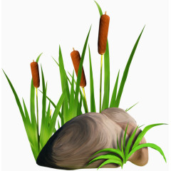 手绘顽强的花草