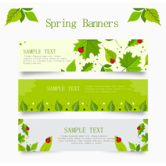 3款春季绿叶矢量素材