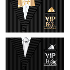 尊贵VIP会员直通卡矢量素材
