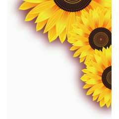 向日葵立体装饰免费素材
