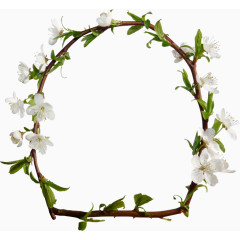 垂丝海棠花枝圆环