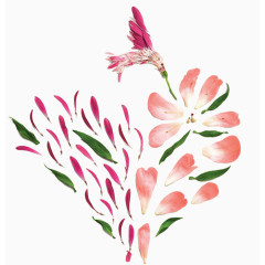 花瓣桃心平面广告