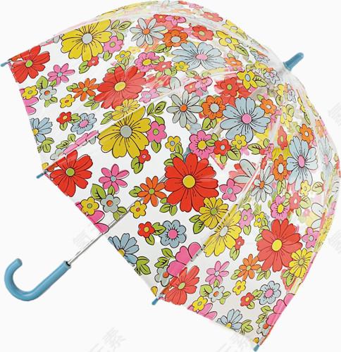 花朵雨伞