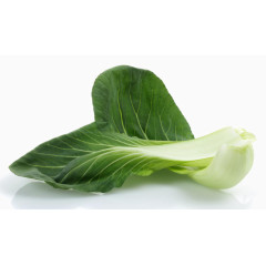 新鲜的油菜蔬菜