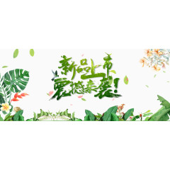 新品上市震撼来袭