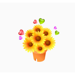 一大簇的向日葵花朵