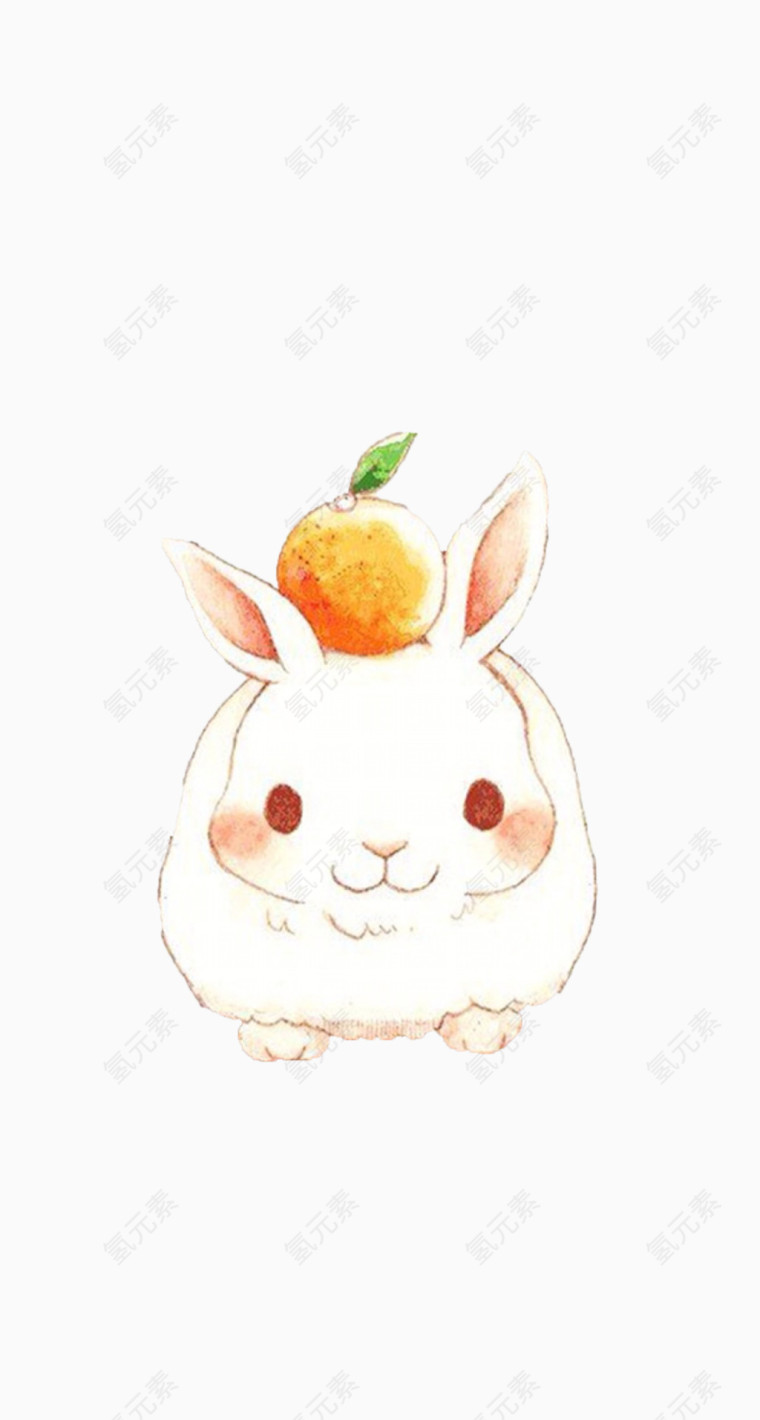 头顶橙子Q萌小兔子
