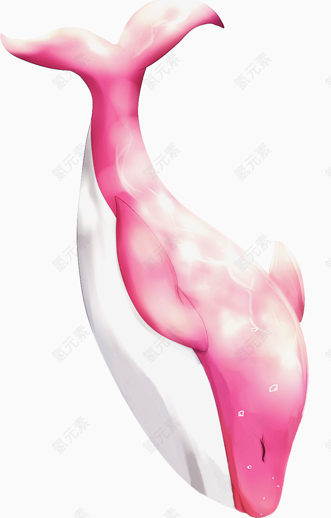 游动的鲸鱼