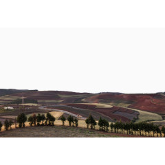 云南东川红土地风景