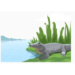 矢量图一只小鳄鱼